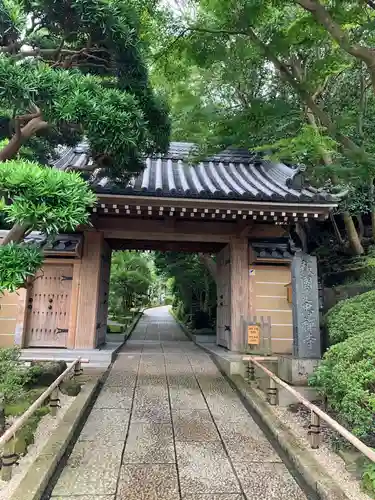 報国寺の山門