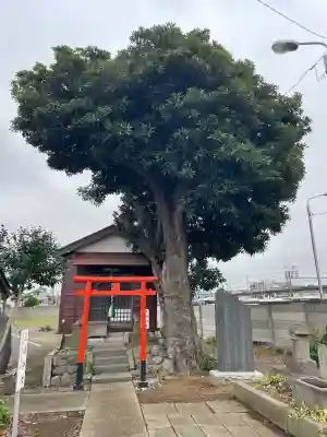鎌ヶ谷八幡神社(千葉県)