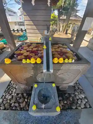 上野総社神社(群馬県)