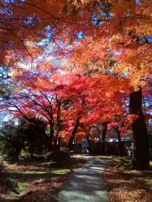 正樂寺(宮城県)