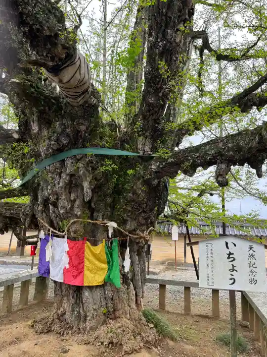 誕生寺の{uncategorized: "未分類", other: "その他", undefined: "問題あり", building: "その他建物", grave: "お墓", sacred_gate: "鳥居", guardian: "狛犬", statue: "像", buddha: "仏像", history: "歴史", nature: "自然", garden: "庭園", animal: "動物", pagoda: "塔", temizu: "手水舎", mountain_gate: "山門・神門", sanctuary: "本殿・本堂", subordinate: "末社・摂社", art: "芸術", scenery: "景色", jizo: "地蔵", ema: "絵馬", goshuin: "御朱印", omikuji: "おみくじ", items: "授与品その他", amulet: "お守り", goshuincho: "御朱印帳", eats: "食事", festival: "お祭り", votive_dance: "神楽", shichigosan: "七五三参", wedding: "結婚式", experience: "体験その他", initially: "初詣", around: "周辺", anti_infection: "感染症対策"}