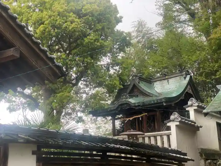 春日若宮神社の{uncategorized: "未分類", other: "その他", undefined: "問題あり", building: "その他建物", grave: "お墓", sacred_gate: "鳥居", guardian: "狛犬", statue: "像", buddha: "仏像", history: "歴史", nature: "自然", garden: "庭園", animal: "動物", pagoda: "塔", temizu: "手水舎", mountain_gate: "山門・神門", sanctuary: "本殿・本堂", subordinate: "末社・摂社", art: "芸術", scenery: "景色", jizo: "地蔵", ema: "絵馬", goshuin: "御朱印", omikuji: "おみくじ", items: "授与品その他", amulet: "お守り", goshuincho: "御朱印帳", eats: "食事", festival: "お祭り", votive_dance: "神楽", shichigosan: "七五三参", wedding: "結婚式", experience: "体験その他", initially: "初詣", around: "周辺", anti_infection: "感染症対策"}