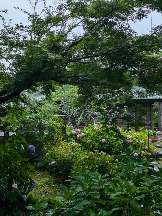 英勝寺(神奈川県)