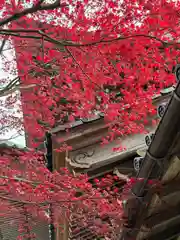 総持寺祖院(石川県)