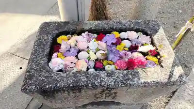 野見神社の手水舎
