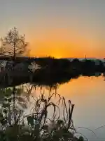鞆江神社(明地)(愛知県)