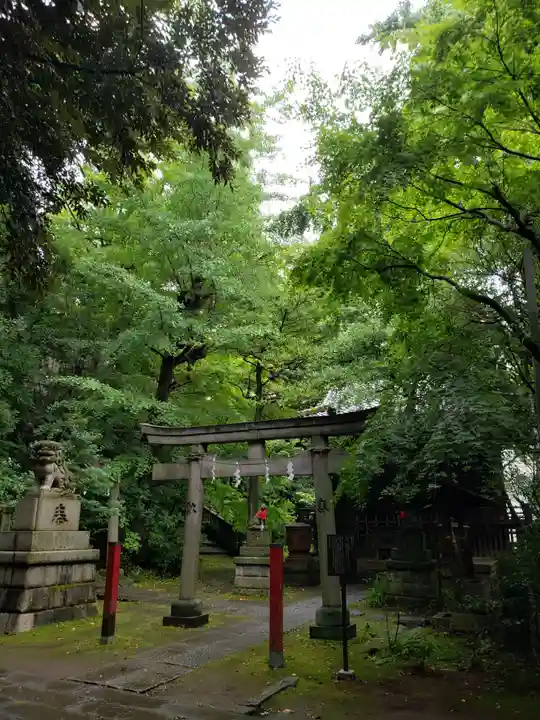 赤坂氷川神社の鳥居