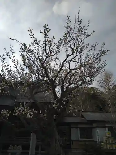 大洗磯前神社(茨城県)