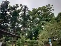 小御門神社(千葉県)