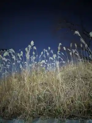 小網神社(東京都)