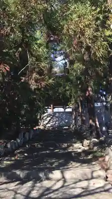 興善寺のその他建物