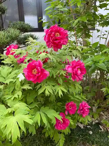 梅香寺(三重県)