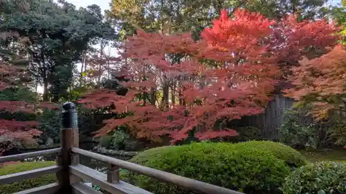 隨心院（随心院）(京都府)