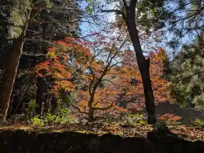 室生寺奥の院(奈良県)
