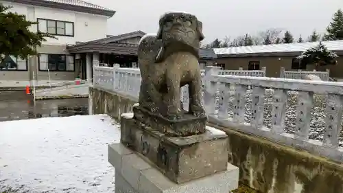 美瑛神社の狛犬