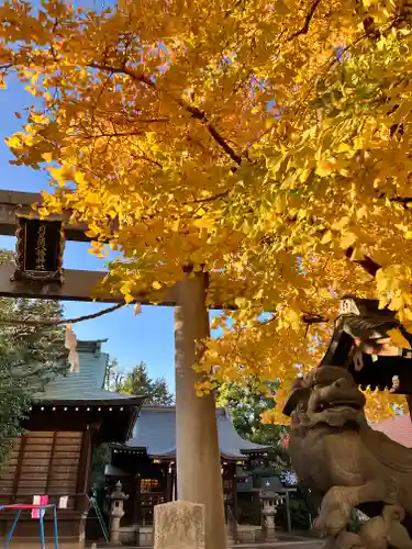 月見岡八幡神社(東京都)