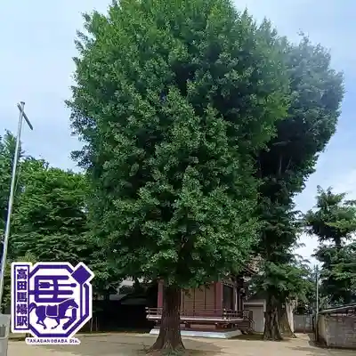 諏訪神社(東京都)