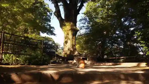 北野天満宮の建物その他