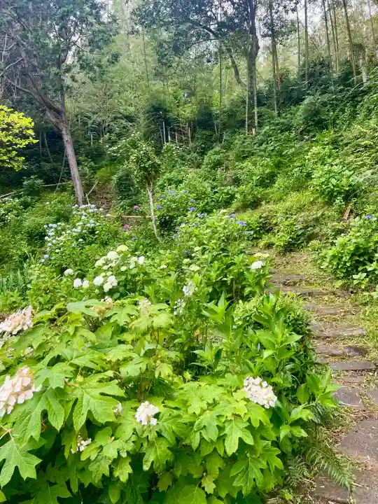 極楽寺(静岡県)