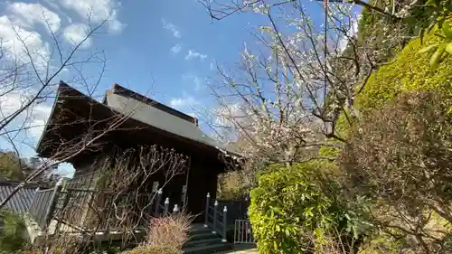 大船観音寺の本殿・本堂
