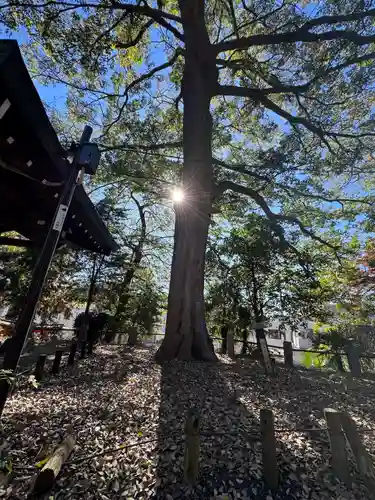 八幡神社(東京都)