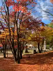 土津神社｜こどもと出世の神さまの自然