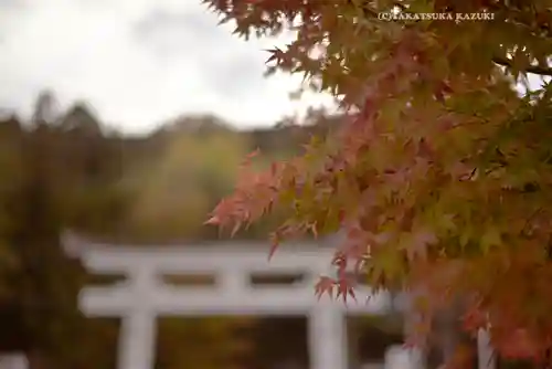 諏訪大社(長野県)