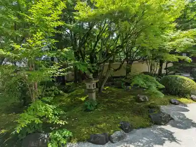 妙顯寺（妙顕寺）(京都府)