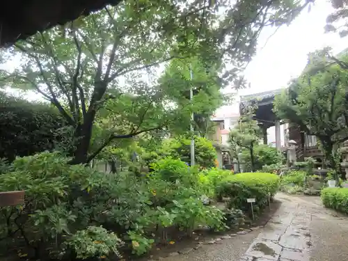 願成寺(神奈川県)