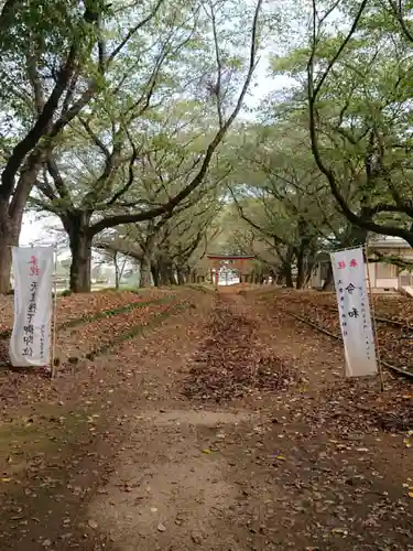 東蕗田天満社のその他建物