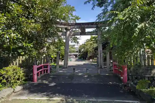 常葉神社の鳥居