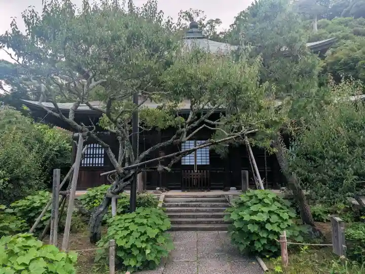 瑞泉寺(神奈川県)