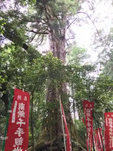 塩船観音寺の自然