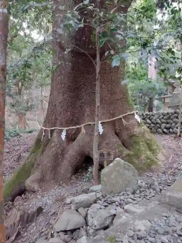豊浦神社(三重県)