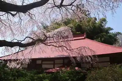 常林寺の本殿・本堂
