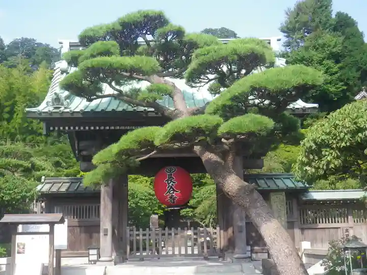 長谷寺の山門・神門
