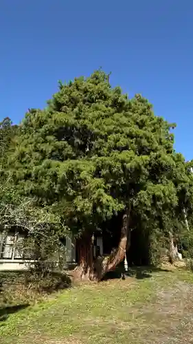 香取神社(宮城県)
