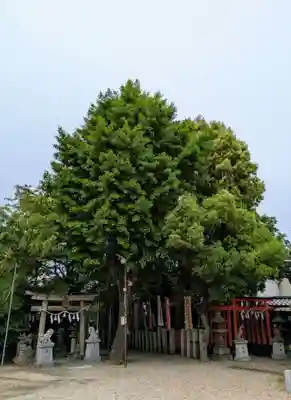 石津太神社(大阪府)