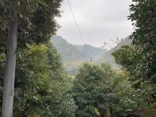 神社（名称不明）の景色