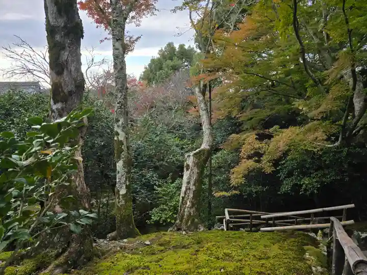 霊鑑寺門跡(京都府)