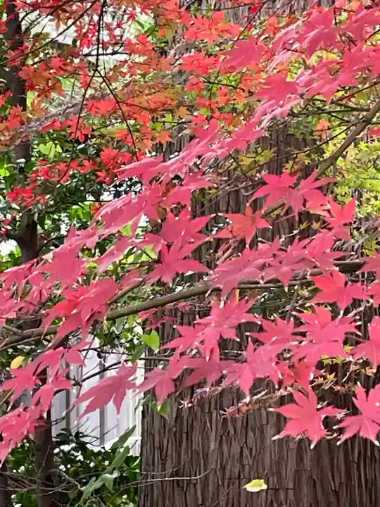 阿佐ヶ谷神明宮(東京都)