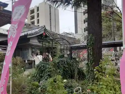 今戸神社(東京都)