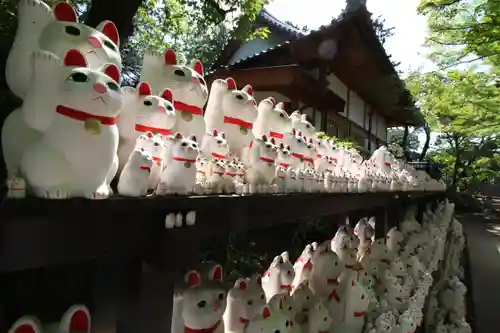豪徳寺(東京都)