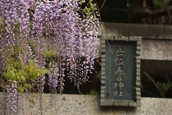 春日神社の鳥居