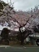 東秀院(宮城県)