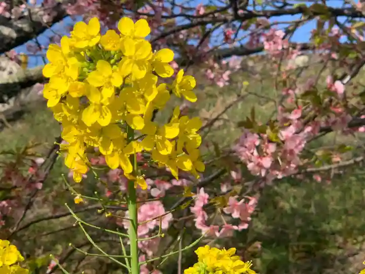 かっぱの寺 栖足寺の自然