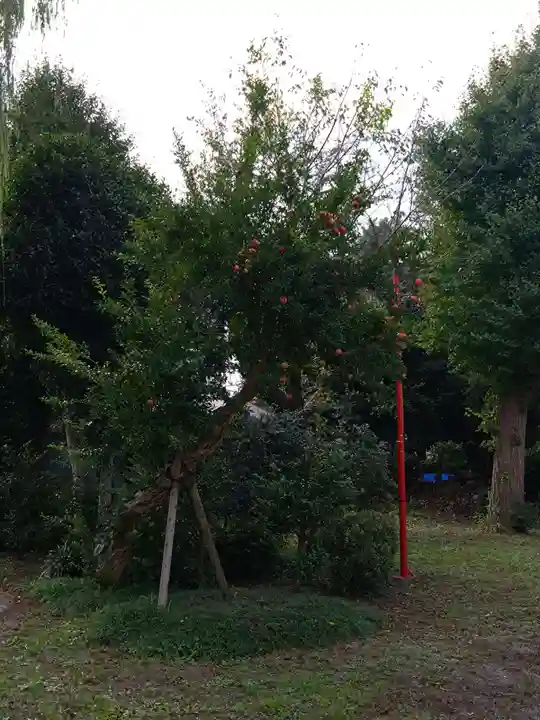 香取神社(旭町香取神社・大鳥神社)(千葉県)
