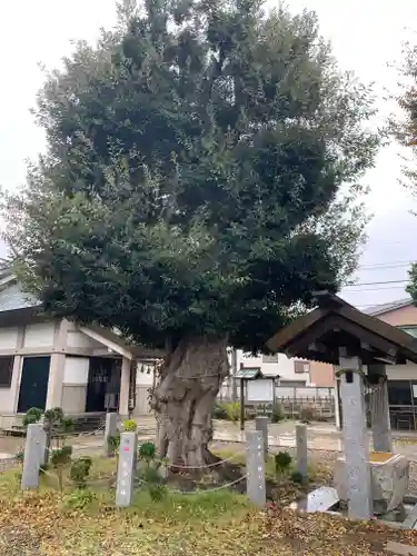 香取神社（旭町香取神社・大鳥神社）(千葉県)