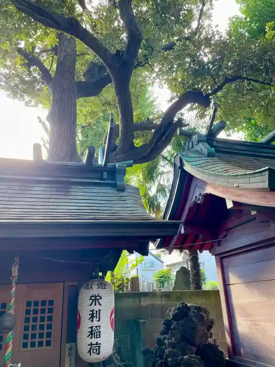 大森山王日枝神社(東京都)