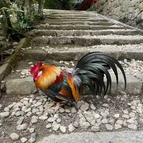 石上神宮(奈良県)